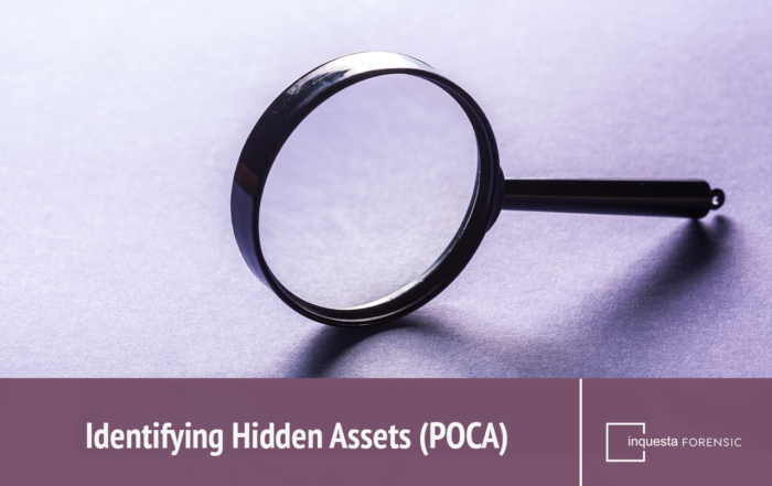 Identifying-Hidden-Assets-POCA-FEATURE