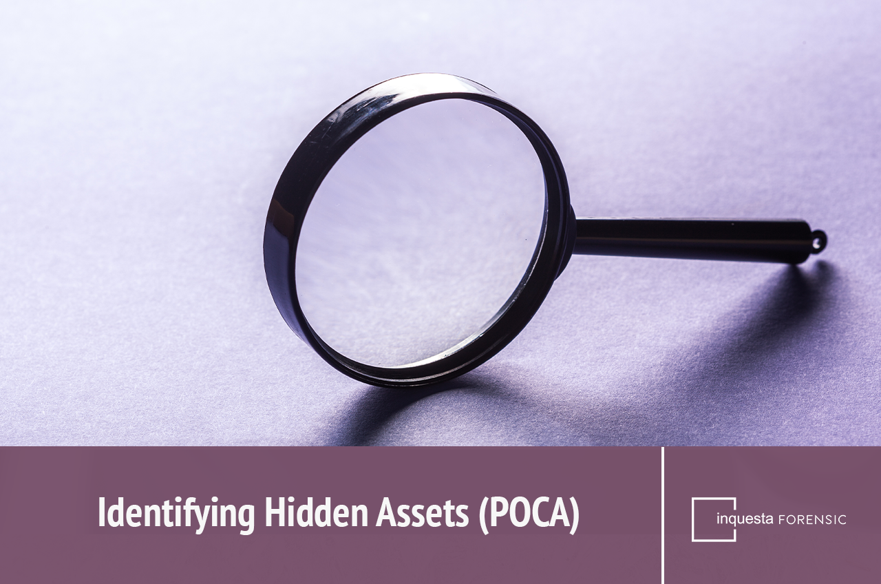 Identifying-Hidden-Assets-POCA-FEATURE