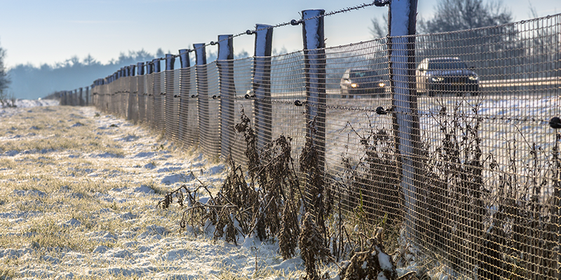 fence-near-road-bypassing-compliance-gaps-crypto-money-laundering