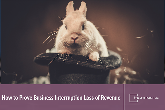 Attachment Details rabbit-in-hat-provehow-to-prove-business-interruption-loss-of-revenue-FEATURE