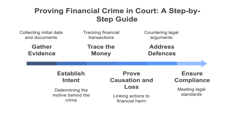 Key-Steps-to-Proving-Financial-Crime-in-Court-graph
