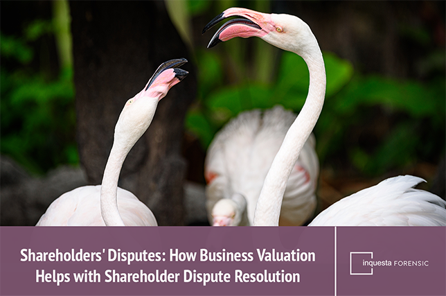 flamingos-fighting-shareholders-disputes-how-business-valuation-helps-with-shareholder-dispute-resolution