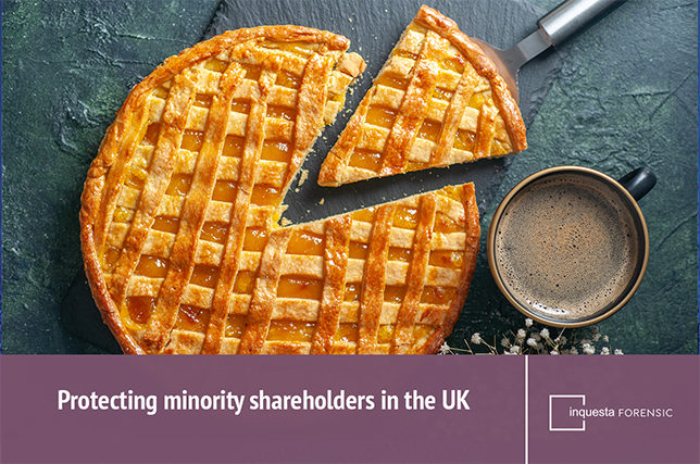 small-slice-of-pie-protecting-minority-shareholders-blog-FEATURED-IMAGE